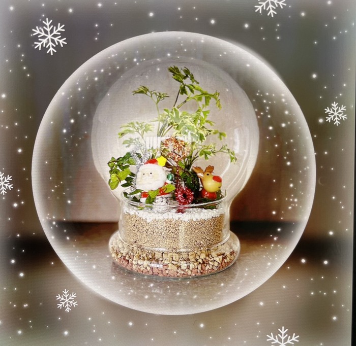 《手作療心・創意相伴》耶誕魔法球DIY活動 即日報名， 額滿截止圖片